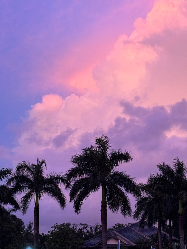 Commission A Painting In Sarasota/Lakewood Ranch