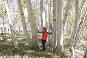 Aspen Trees