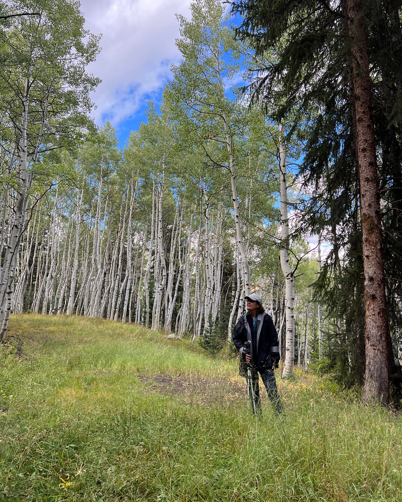 Learn To Draw And Paint