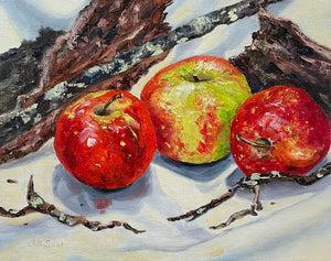 Three Red Apples 8x10 Oil