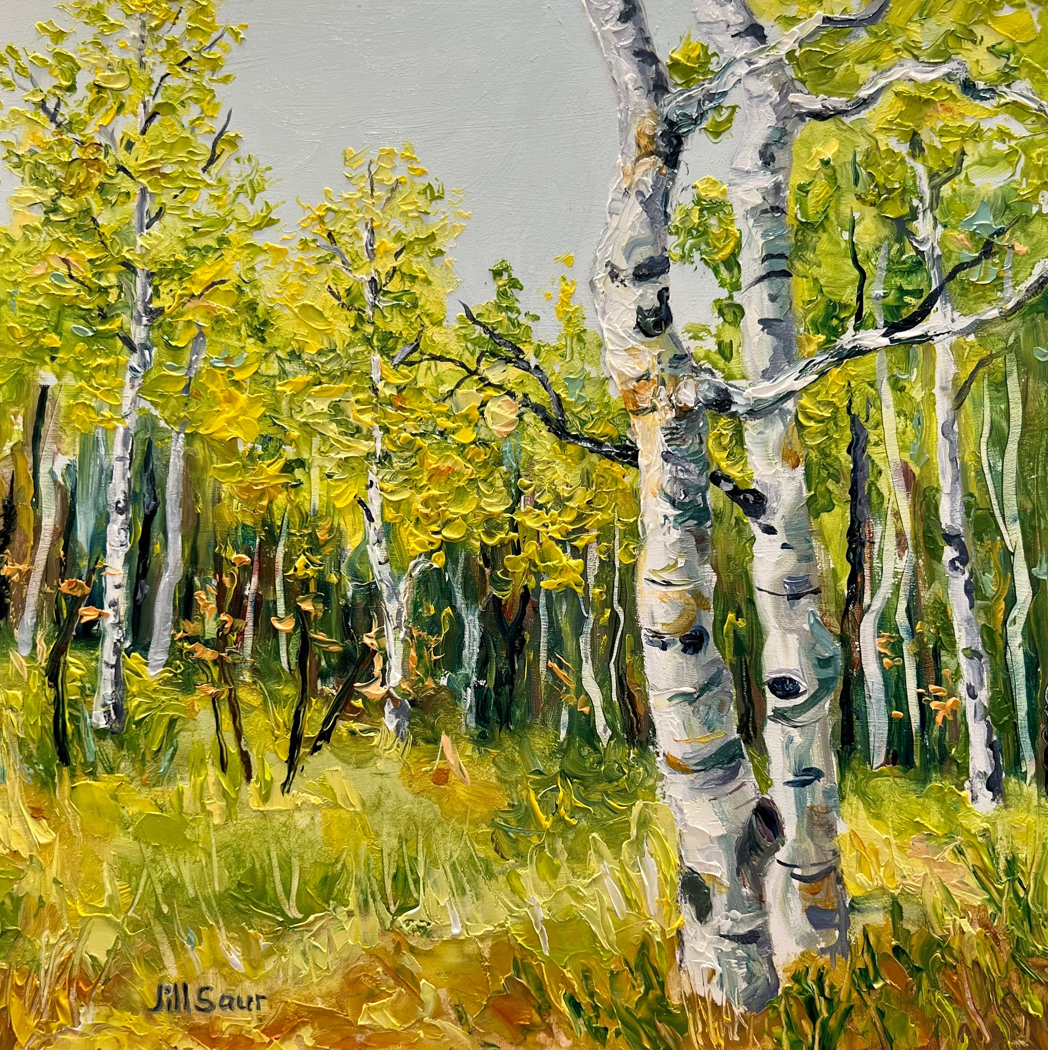 Aspen Embrace 8x8 Oil