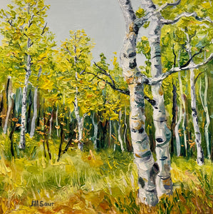 Aspen Embrace 8x8 Oil