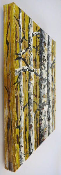 Aspen Trees Painting by Jill Saur