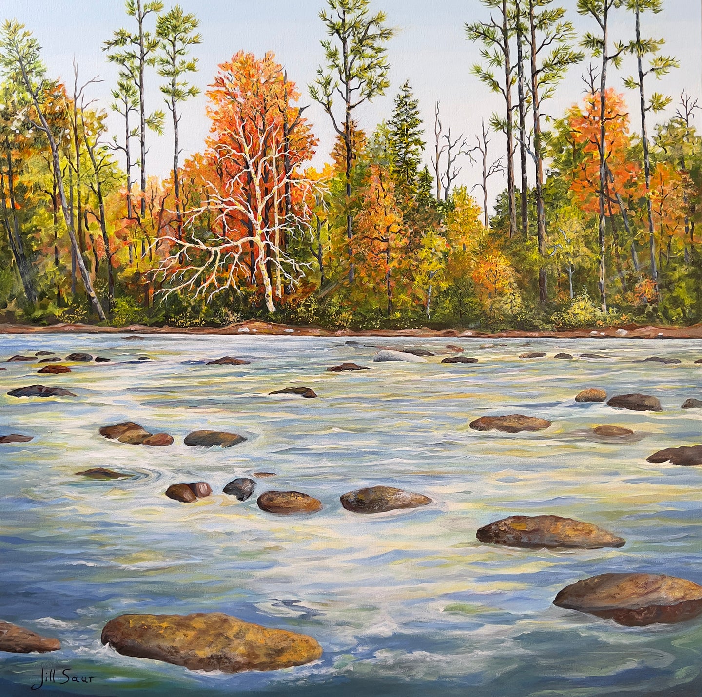 Autumn Infusion 36x36 Acrylic