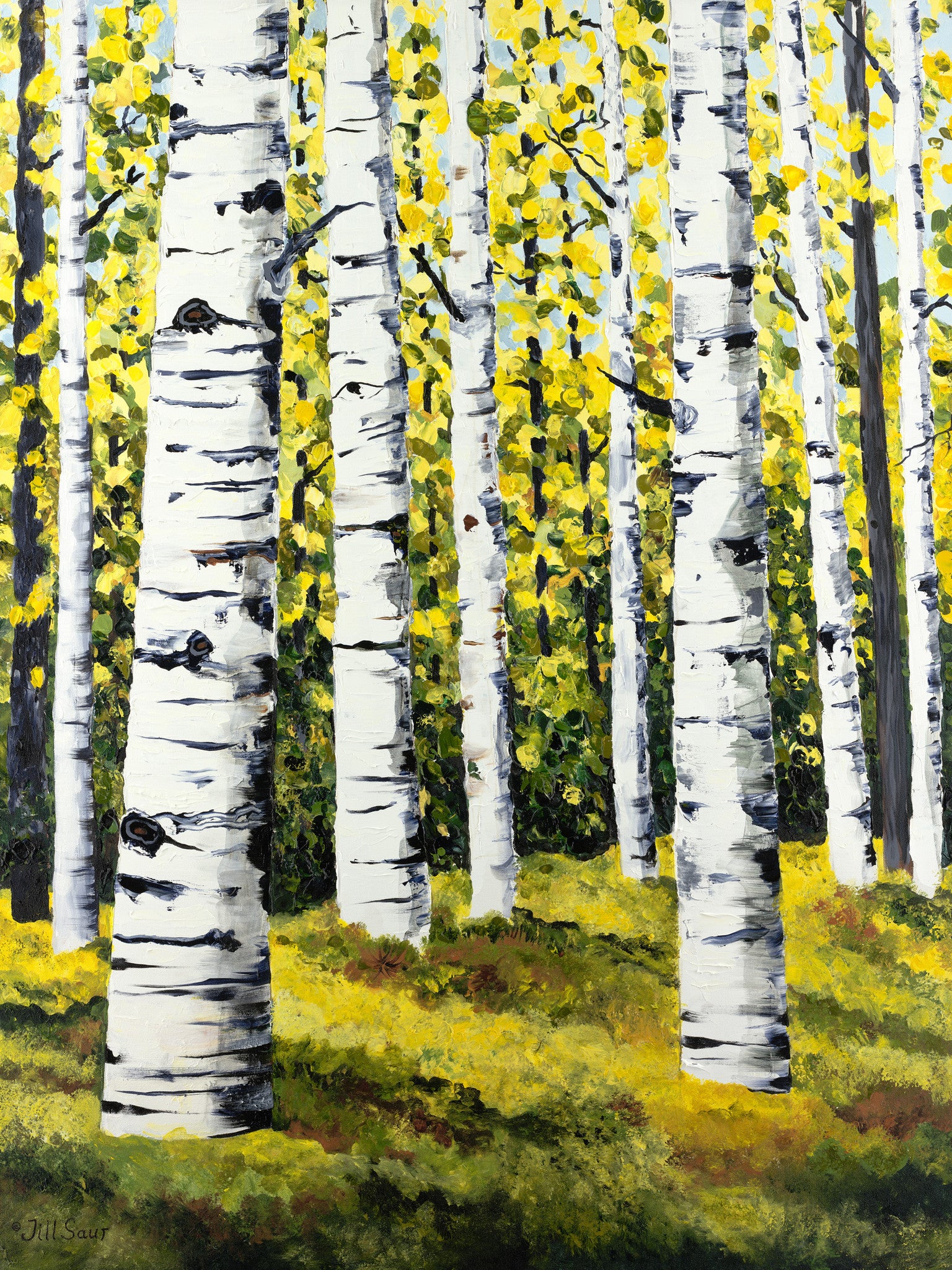 Summer Aspen Trees Painting by Jill Saur