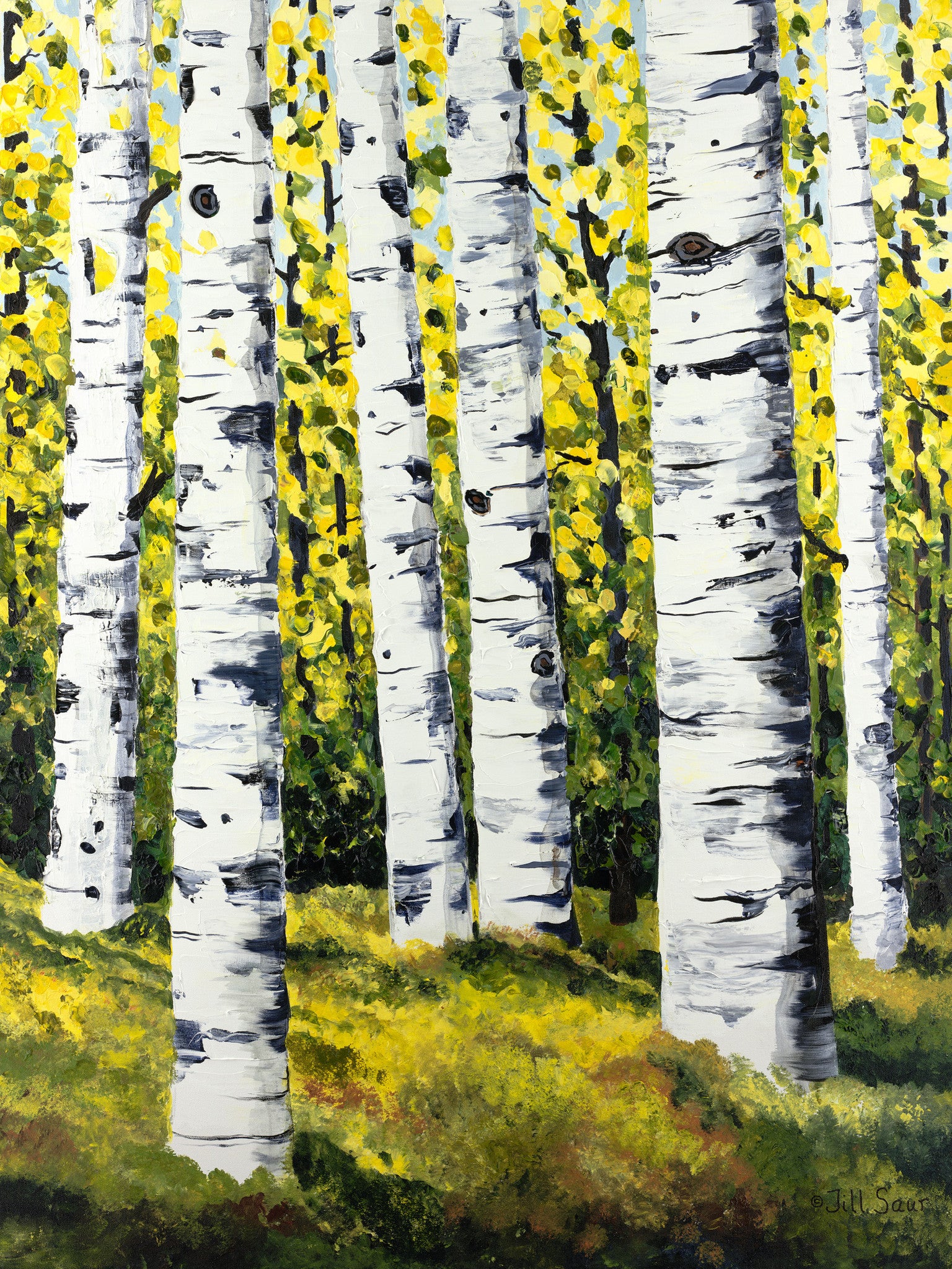 Summer Aspen Trees Painting by Jill Saur