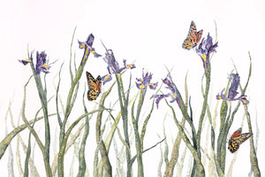 Butterflies Print by Jill Saur