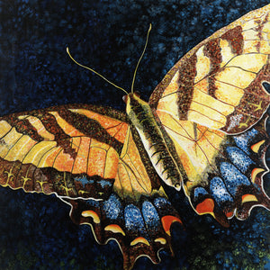 Butterfly Painting by Jill Saur