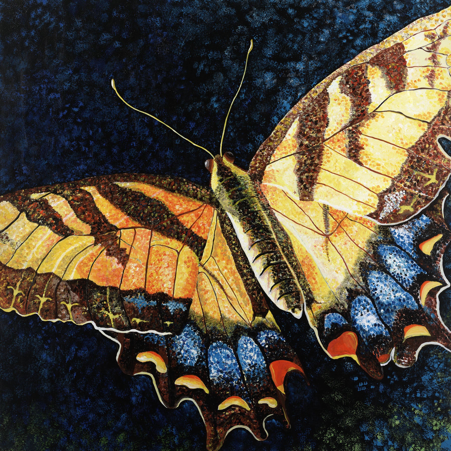 Butterfly Print by Jill Saur