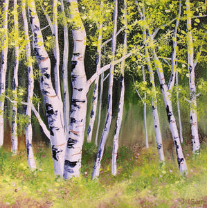 Summer Aspen Trees Painting by Jill Saur