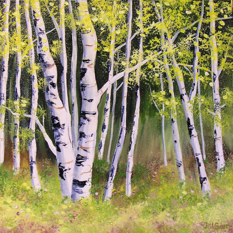 Summer Aspen Trees Painting by Jill Saur