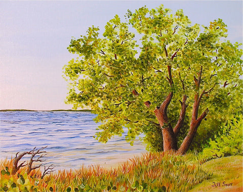 Tampa Bay Painting by Jill Saur