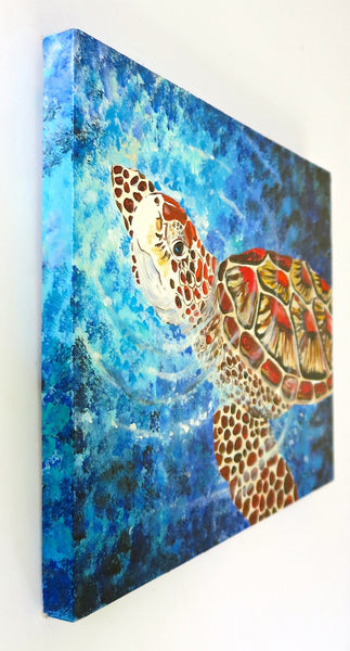 Sea turtle painting by Jill Saur