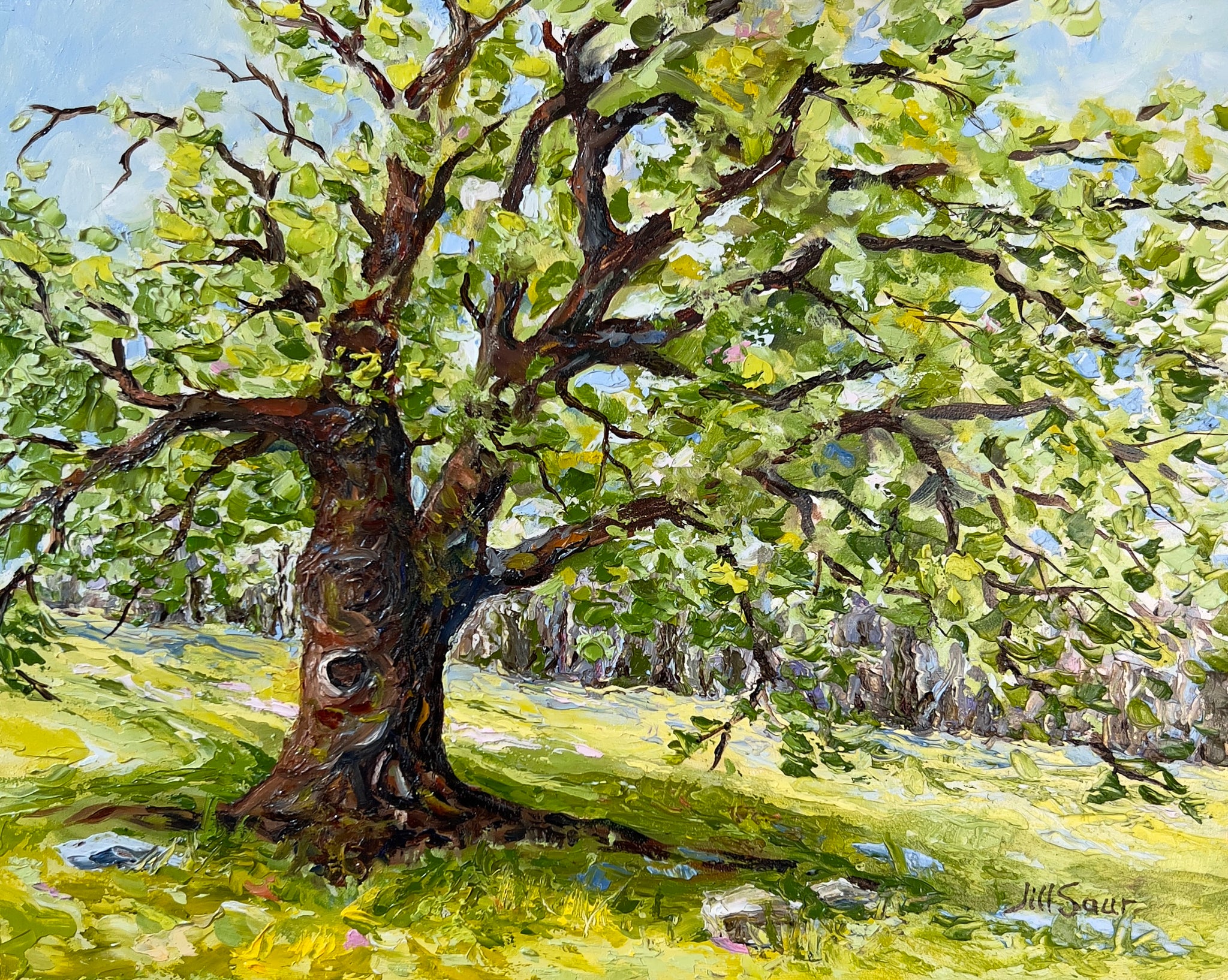 Radiant Spring 8x10 Oil