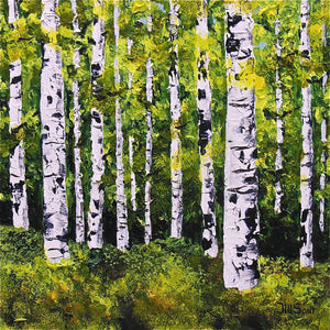 Summer Aspen Trees Painting by Jill Saur