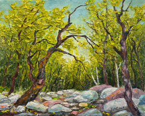 Radiant Journey 8x10 Oil