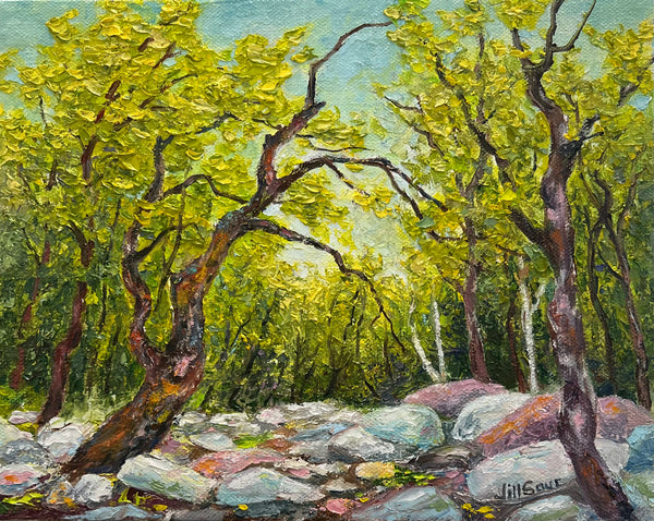 Radiant Journey 8x10 Oil