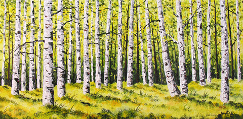 Aspen Trees Painting by Jill Saur