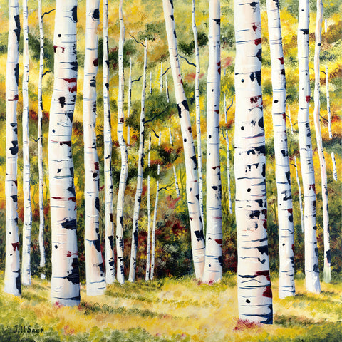 Aspens In Summer Painting by Jill Saur