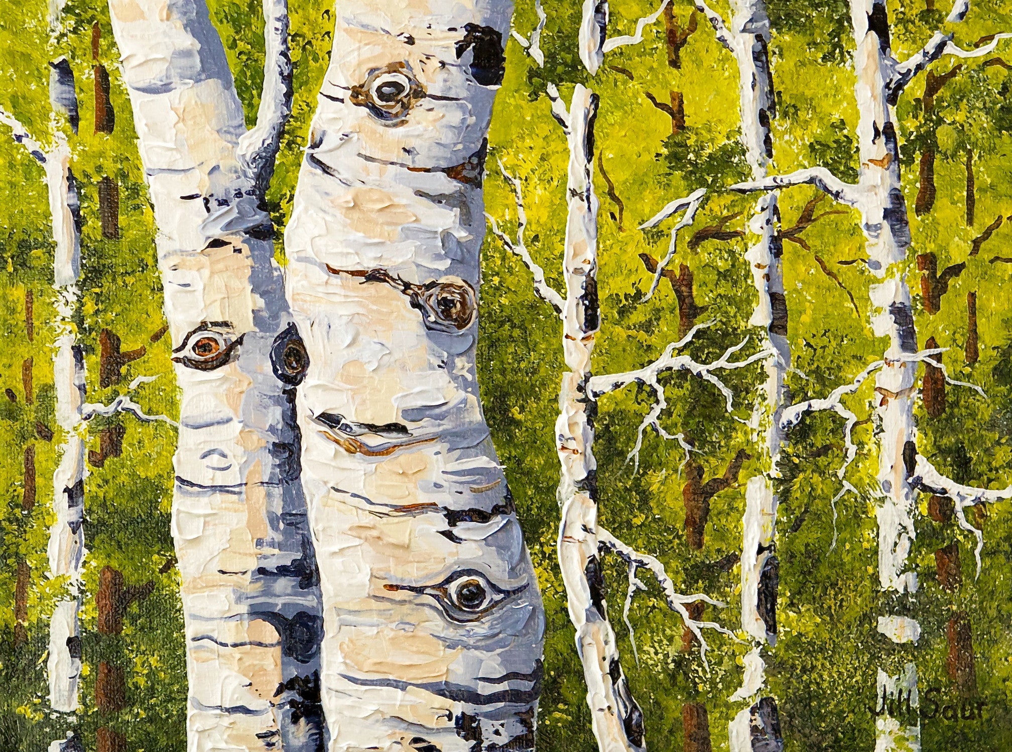 Summer Aspen Trees Painting By Jill Saur