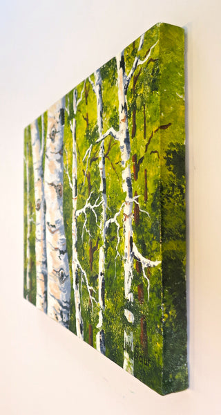 Summer Aspen Trees Painting By Jill Saur