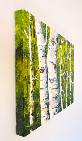 Summer Aspen Trees Painting By Jill Saur